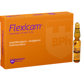 Flexicam