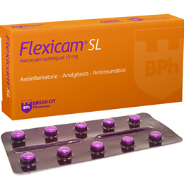 Flexicam SL