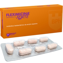 Fleximicina Forte
