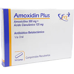 Amoxidin Plus