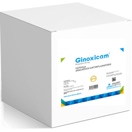 Ginoxicam