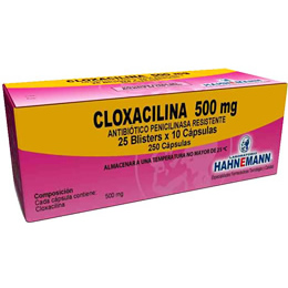Cloxacilina