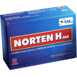 Norten H