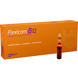 Flexicam B12