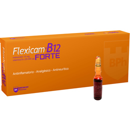 Flexicam B12 Forte