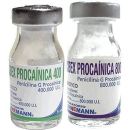 Pencibex Procainica