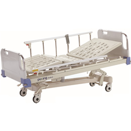 Cama Eléctrica D 8