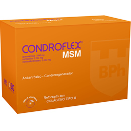 Condroflex MSM