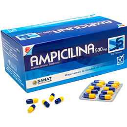 Ampicilina 500 mg