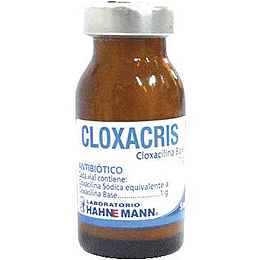 Cloxacris