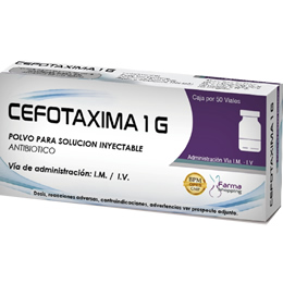 Cefotaxima