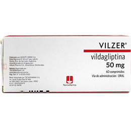 Vilzer