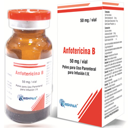 Amfotericina B