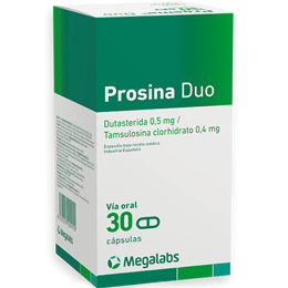Prosina Duo