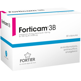 Forticam 3B