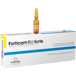 Forticam B12 Forte