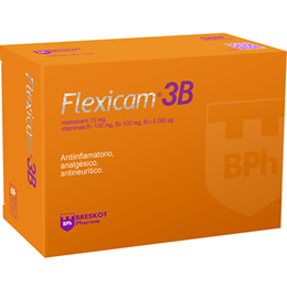 Flexicam 3B