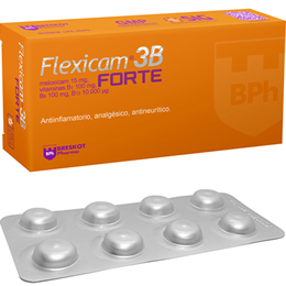 Flexicam 3B Forte