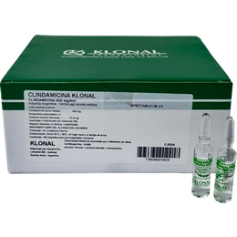 Clindamicina