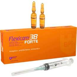 Flexicam 3B Forte