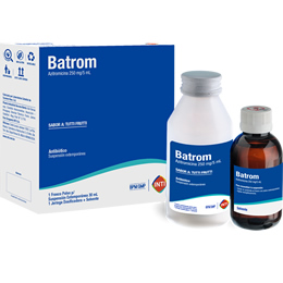 Batrom