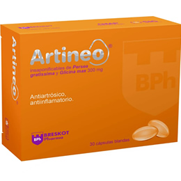 Artineo