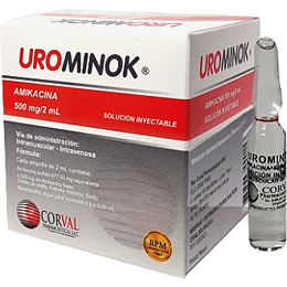 Urominok
